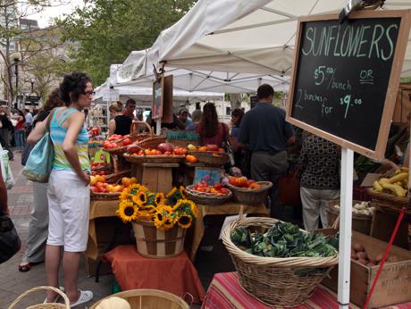 Farmermarket on Farmer S Market