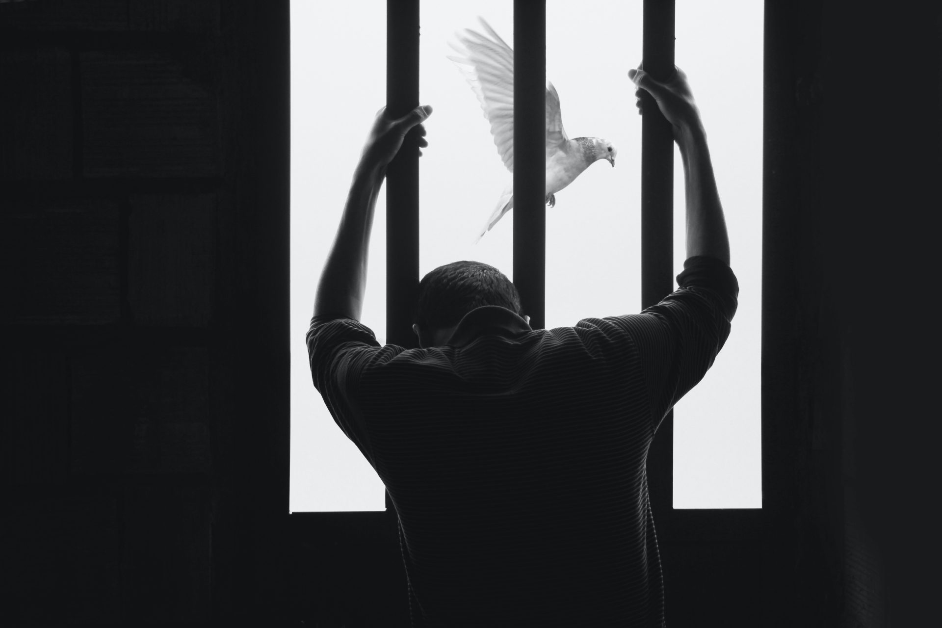 Foto in bianco e nero con una persona detenuta vista da dietro che si aggrappa alle sbarre, oltre le sbarre una colomba